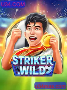 Descubra o Mundo de StrikerWILD: Aventuras e Desafios